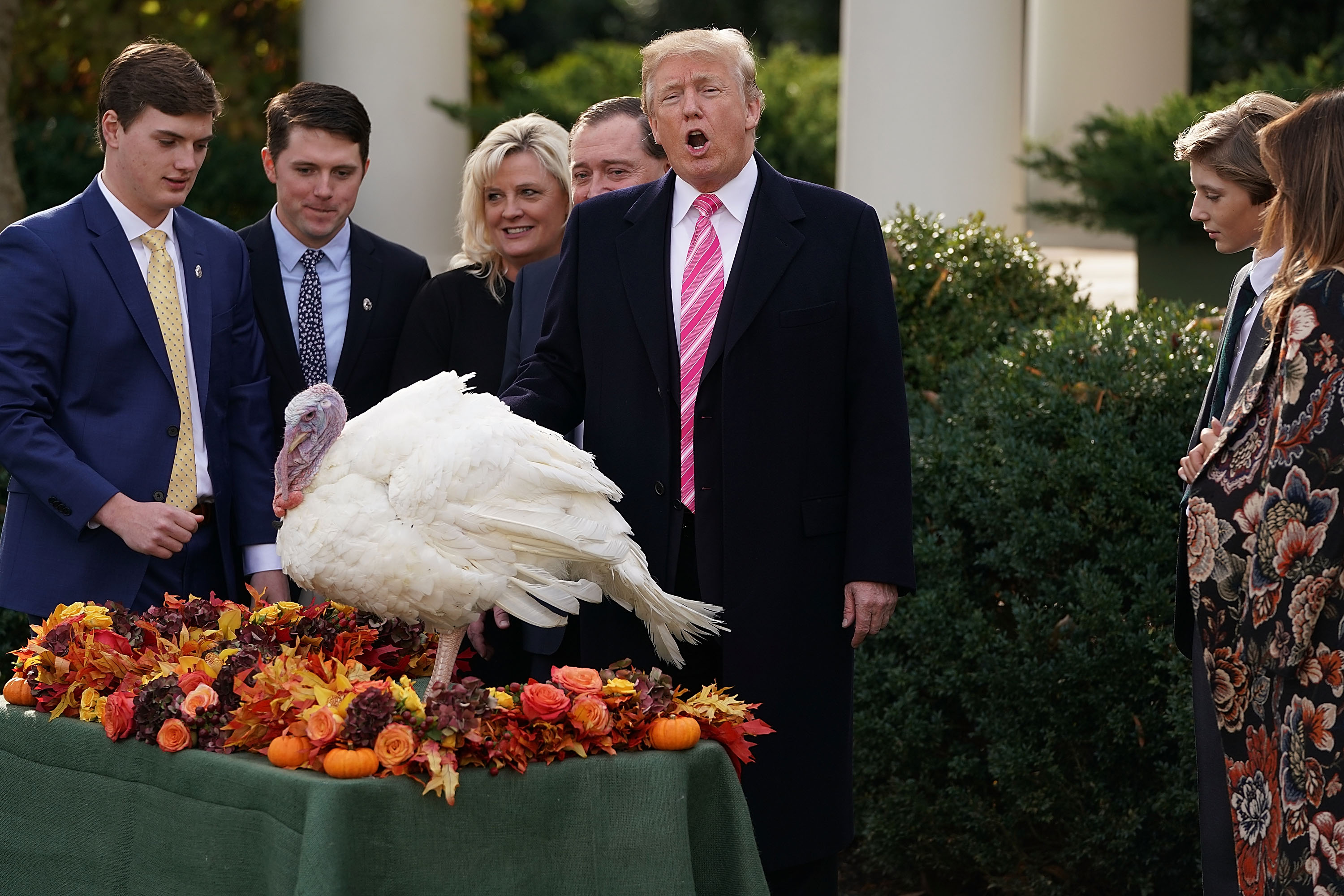 Football landing on thanksgiving table