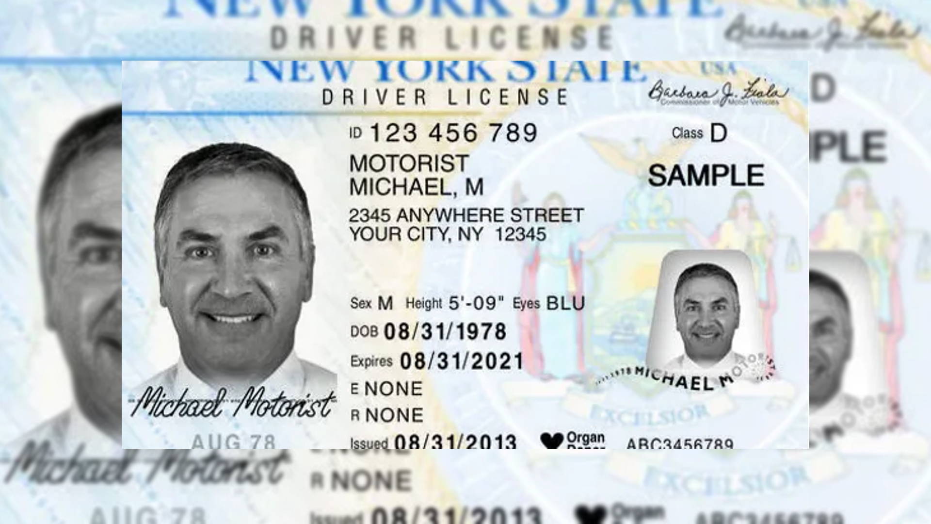 Trump Goes After New York Over Drivers License Policy