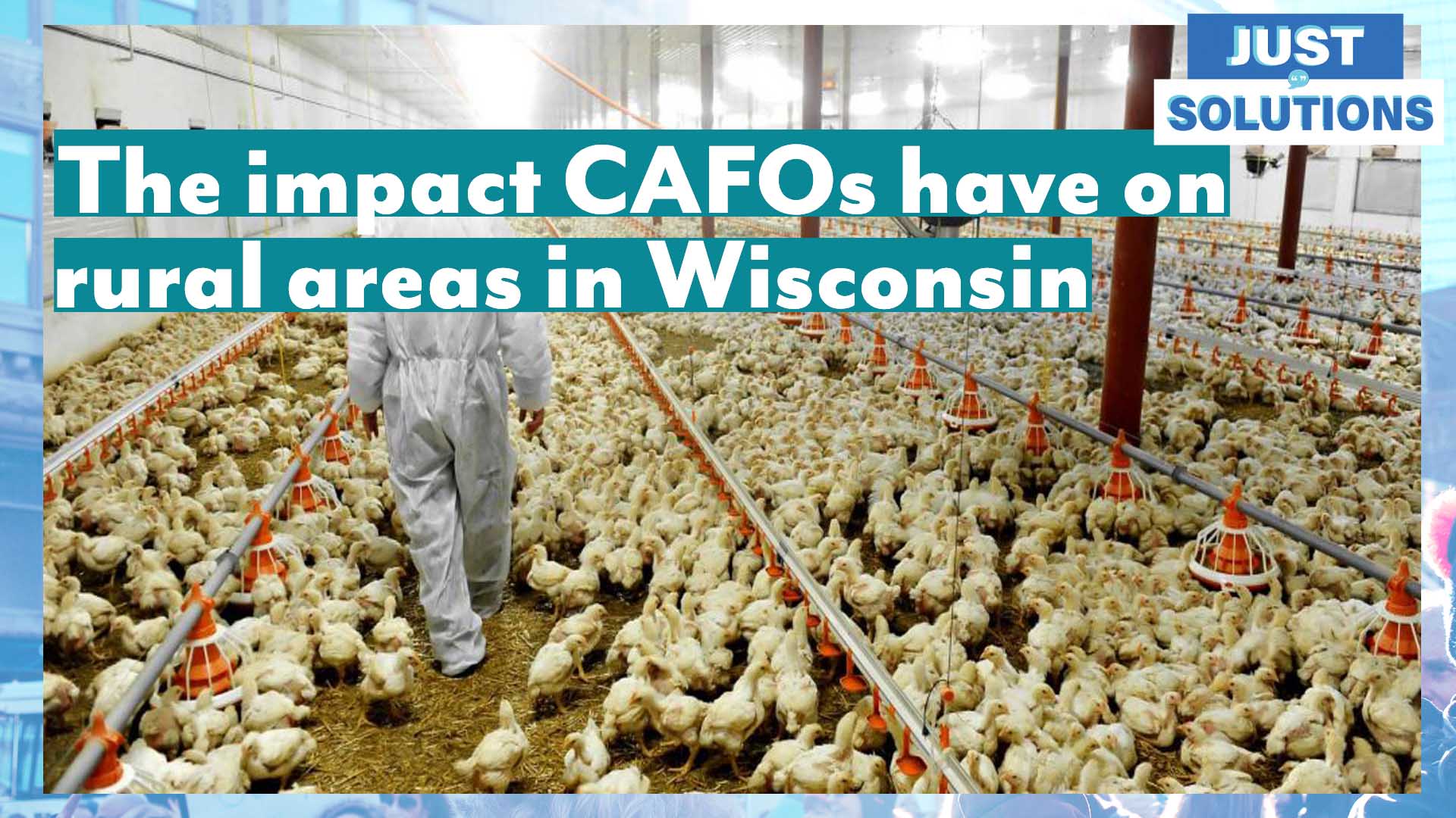 Identify Another Name For Cafos