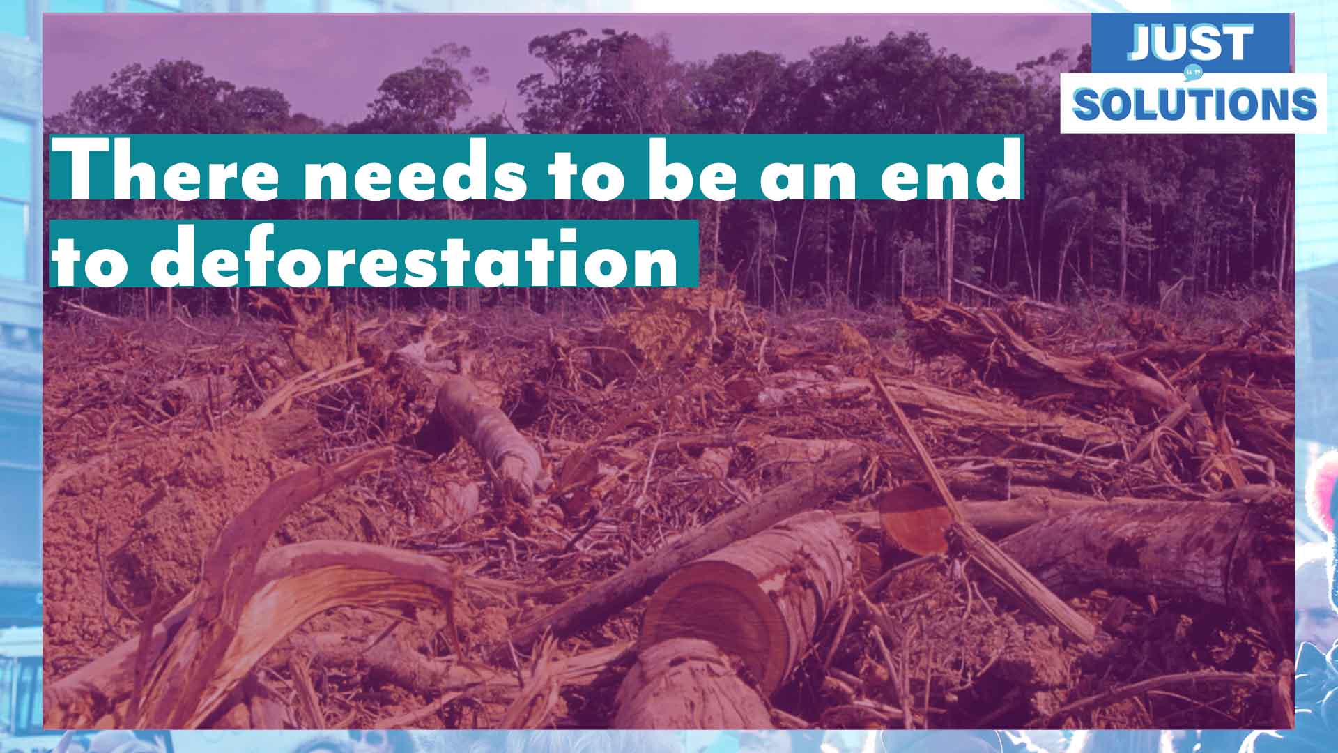 There Needs To Be An End To Deforestation 1650