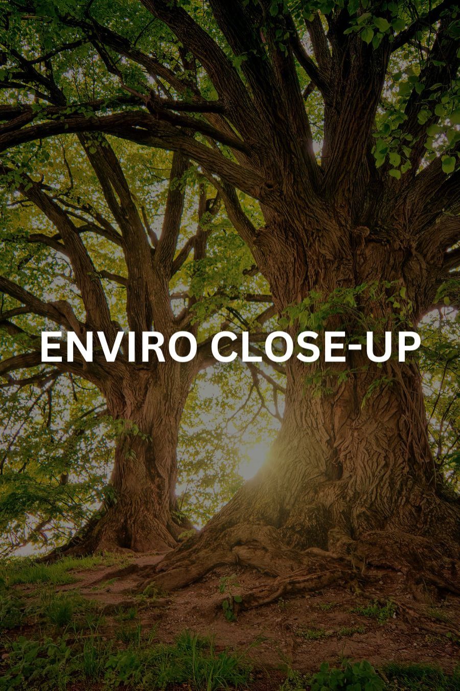 Enviro Close Up