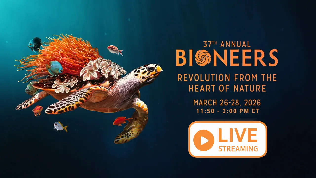 37th Annual Bioneers Conference - Streaming LIVE on FSTV